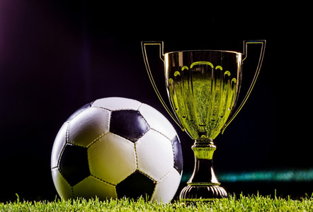 虽然未能进 虽然未能进