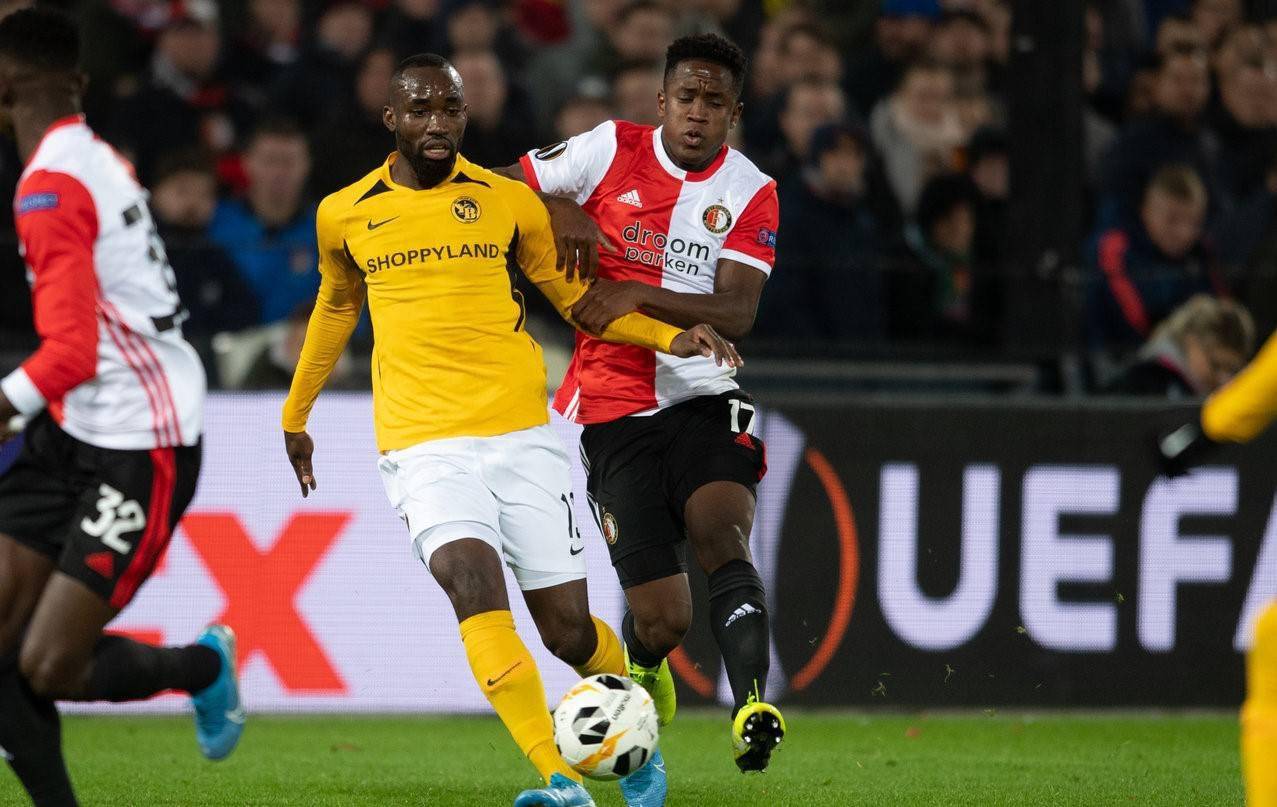 表皮光滑 表皮光滑