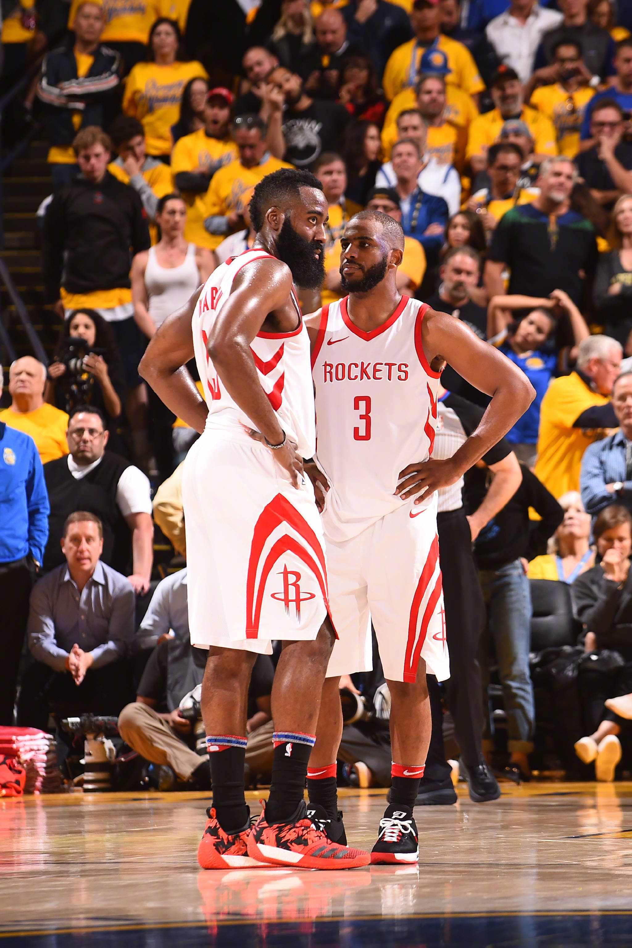 重新燃起了 重新燃起了